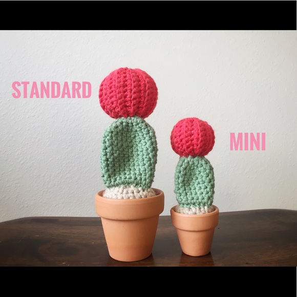 🌵Mini Cactus Set🌵 - Picture 3 of 3